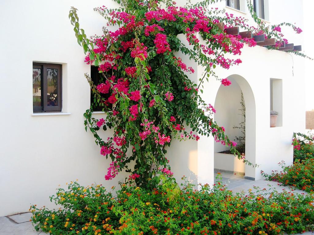 Aura Holiday Villas Paphos Eksteriør bilde